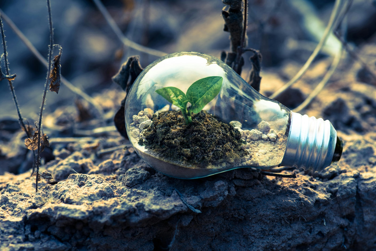 XaaS and ESG Impact: How Everything-as-a-Service Supports Environmental, Social, and Governance Goals - Vnetwork