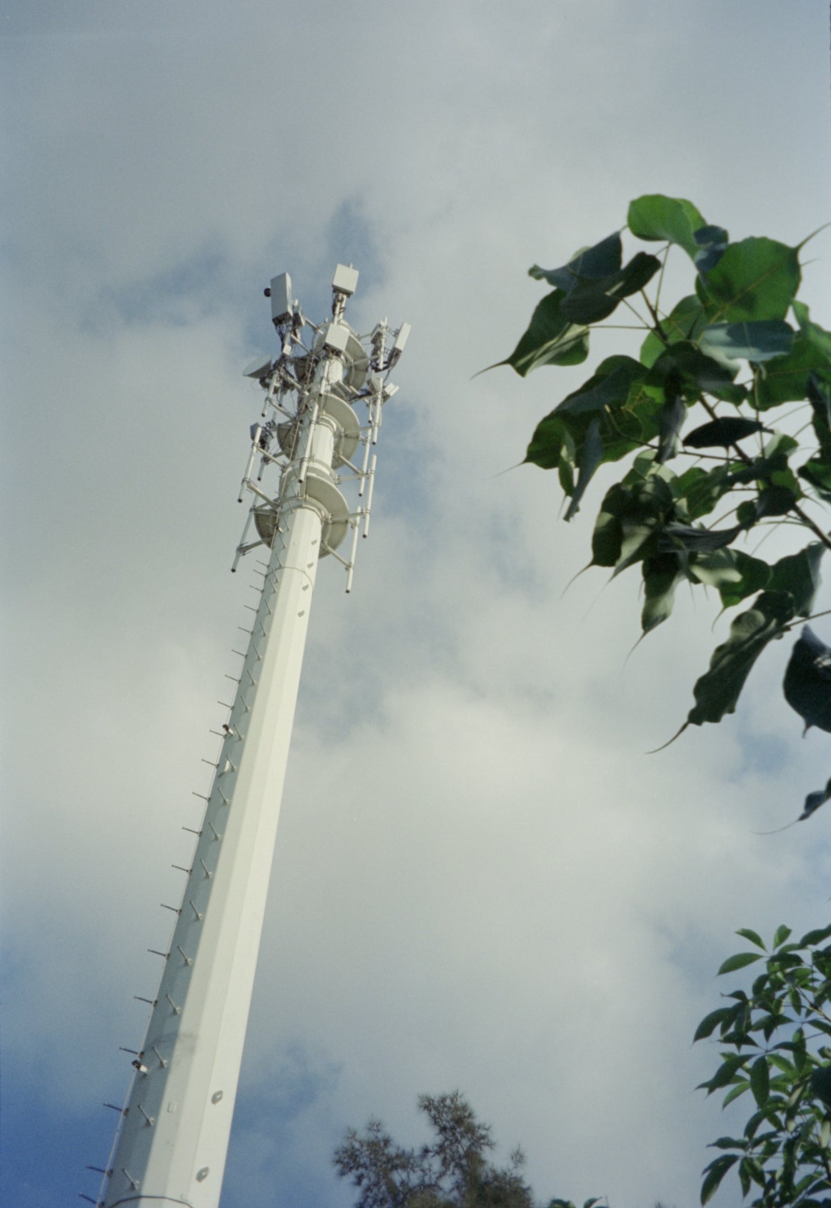 A tall white tower sitting next to a lush green forest