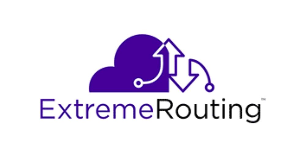 Routing - V-Network System