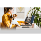 Get Crestron Crestron Flex Phones for Microsoft Teams® from Malaysia Distributor - vnetwork